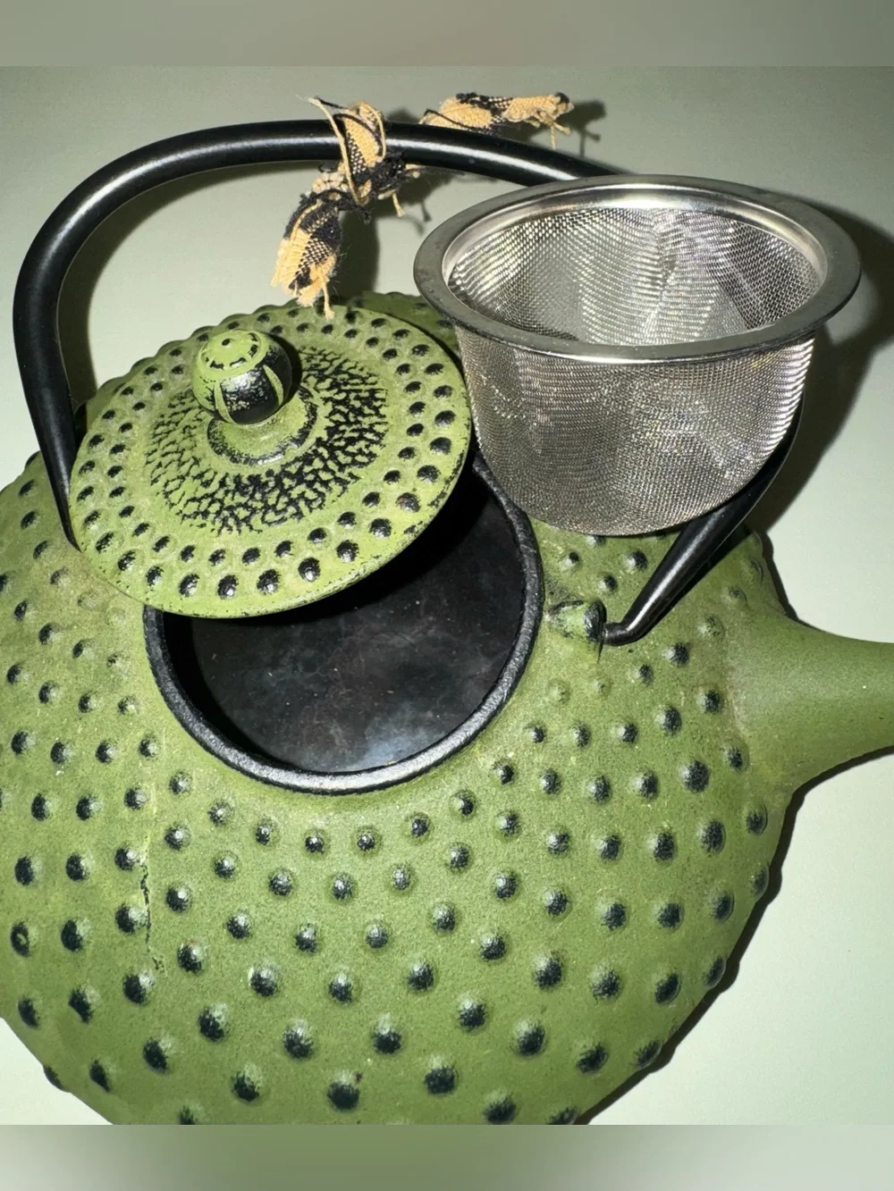 Bredemeijer Xilin Cast Iron Tea Pot
